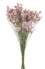 ZATRWIAN KRÓTKI KOLOR NATURALNY RÓŻOWY (Limonium sinensis) suszki ozdobne suche kwiaty na bukiet 